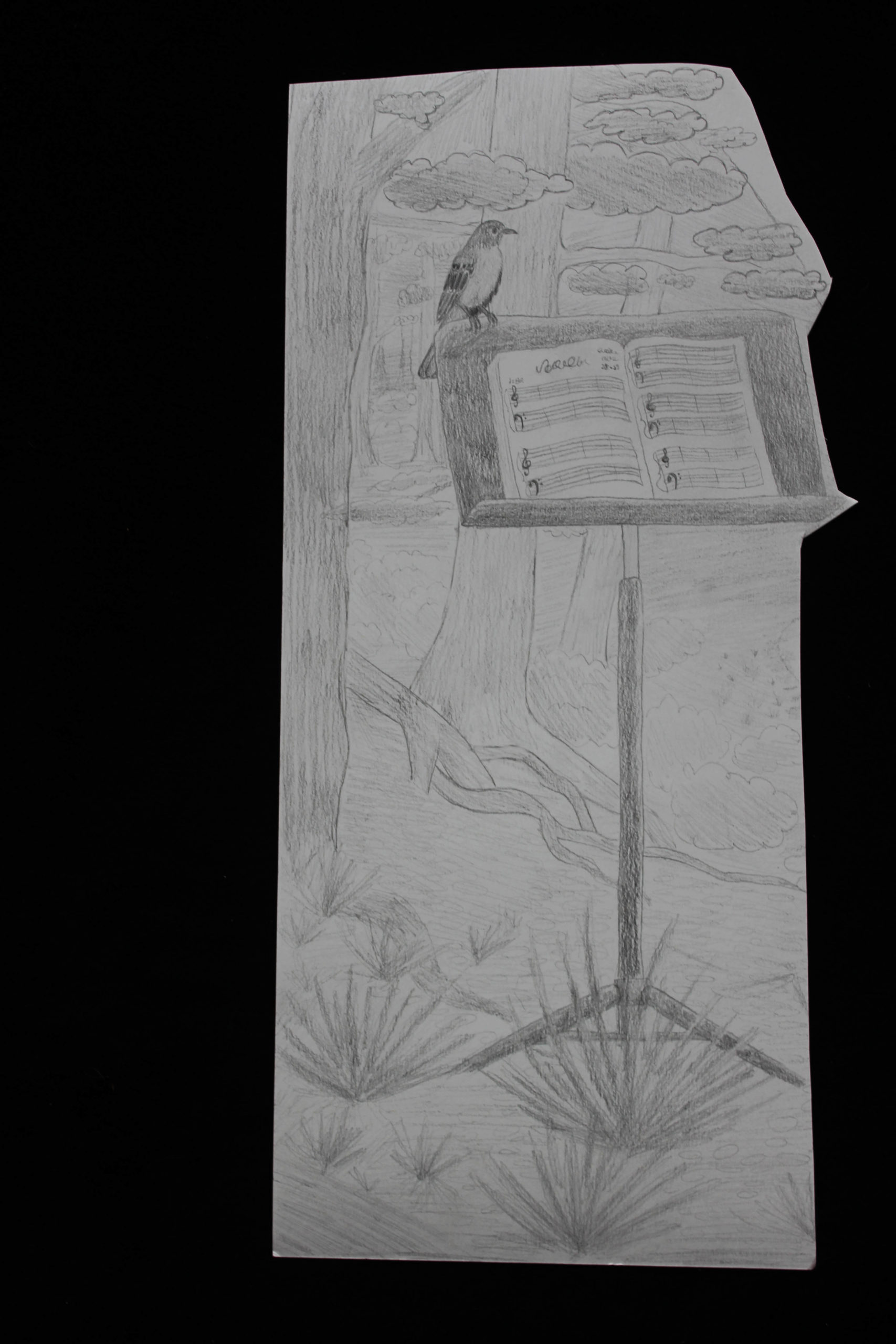 CPAC-drawings-007